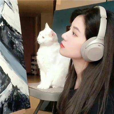 超级救援狗
